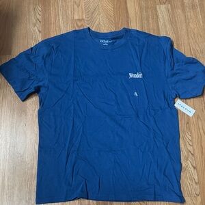 PacSun Wonder Blue Short Sleeve Tee